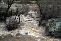 South Fork American River high water spring 2009