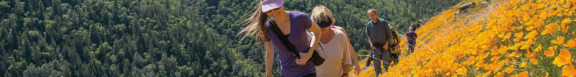 hiking through poppy fields above the South Fork