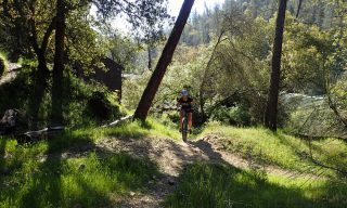 mountain biking near the South Fork American