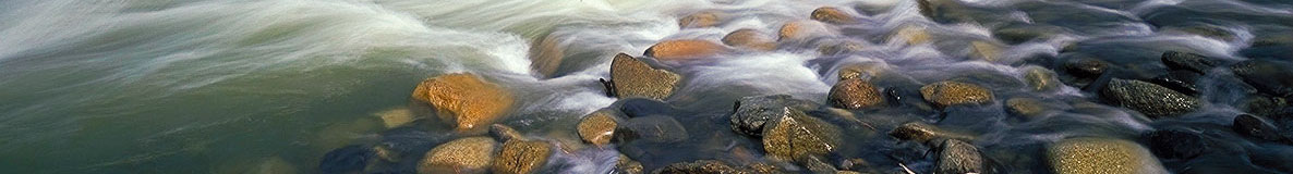 Swimmers' Rapid, South Fork American River